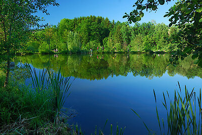 Der Natur und sich selbst etwas Gutes tun